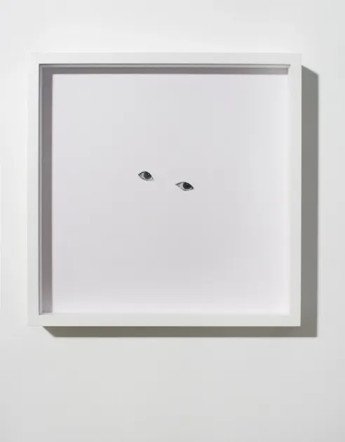 Douglas Gordon, Douglas Gordon, Eyes Without (Unknown 1), 2010, DG231 | Artworks | Mennour