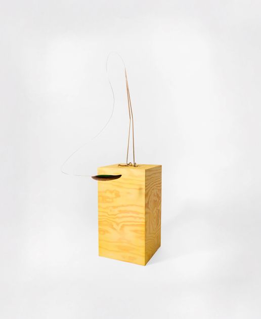 Petrit Halilaj, Here to Remind You (Amazona albifrons), 2023, PH350 | Artworks | Mennour by Petrit Halilaj