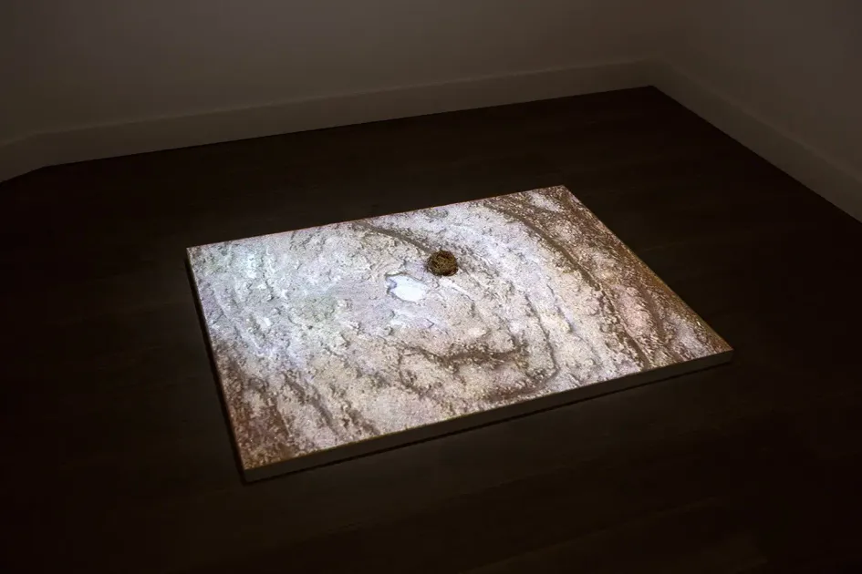 Mohammad AlFaraj, Mohammad AlFaraj, The Date Fruit of Knowledge, 2022, MAF1 | Artworks | Mennour