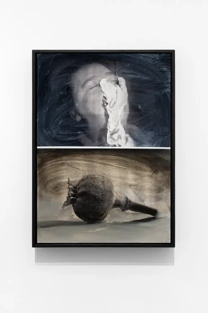 Mircea Suciu, Mircea Suciu, Untitled 31, (Earthly Delights series), 2023, MIS10 | Artworks | Mennour