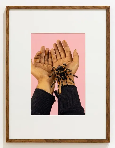 Mohamed Bourouissa, Mohamed Bourouissa, Mygale My Love, 2023, MOB1099 | Artworks | Mennour