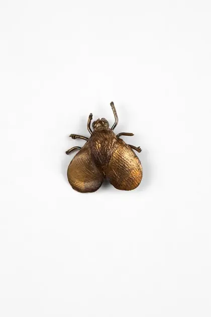 Elizabeth Jaeger, Elizabeth Jaeger, Bug, 2023, EJ151 | Artworks | Mennour
