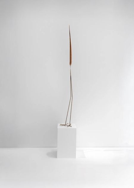Petrit Halilaj, Petrit Halilaj, Here to Remind You (Phasanius Colchicus), 2021, PH445 | Artworks | Mennour