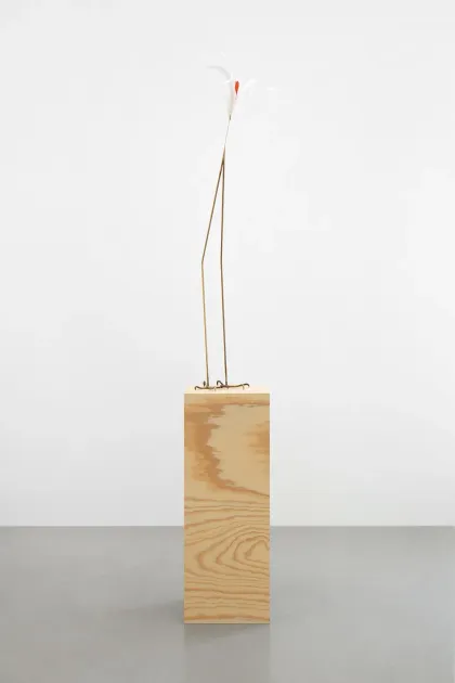 Petrit Halilaj, Petrit Halilaj, Here to Remind You (Anser Anser, Ara Macao), 2025, PH465 | Artworks | Mennour