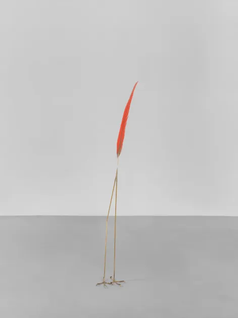 Petrit Halilaj, Petrit Halilaj, Here to Remind you (Ara Macao), 2025, PH373 | Artworks | Mennour