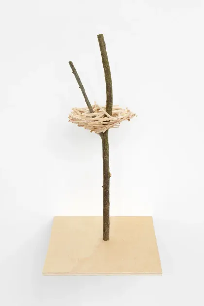 Tadashi Kawamata, Tadashi Kawamata, Bonsai n°23, 2026, TK1396 | Artworks | Mennour