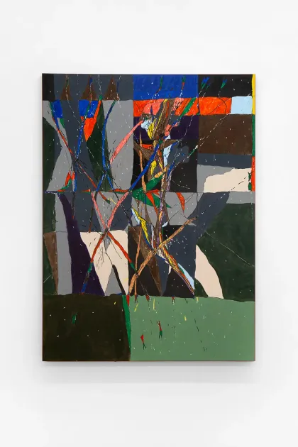 Matias Agafonovas, Matias Agafonovas, Coma, 2026, MA40 | Artworks | Mennour