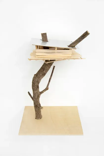 Tadashi Kawamata, Tadashi Kawamata, Bonsai n°11, 2025, TK1409 | Artworks | Mennour