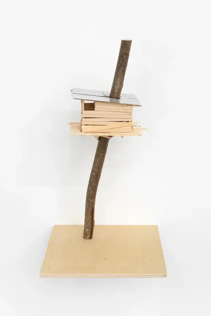 Tadashi Kawamata, Tadashi Kawamata, Bonsai n°12, 2025, TK1410 | Artworks | Mennour