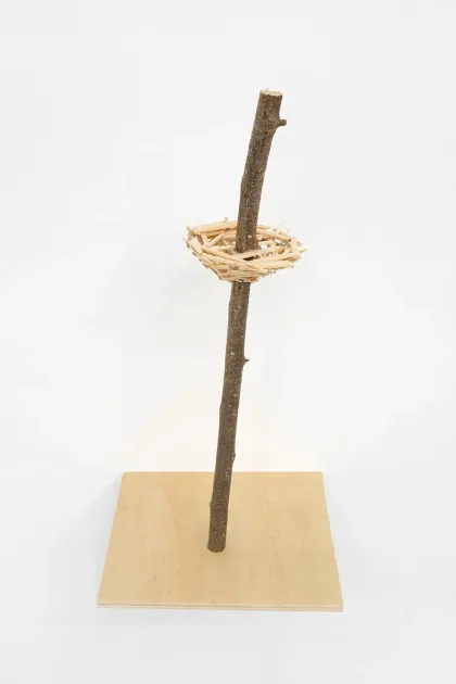 Tadashi Kawamata, Tadashi Kawamata, Bonsai n°19, 2025, TK1417 | Artworks | Mennour