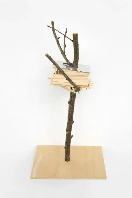 Tadashi Kawamata, Tadashi Kawamata, Bonsai n°39, 2026, TK1434 | Artworks | Mennour