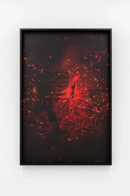 Nicolas Lebeau, Nicolas Lebeau, /hex/ d, 2026, NL24 | Artworks | Mennour