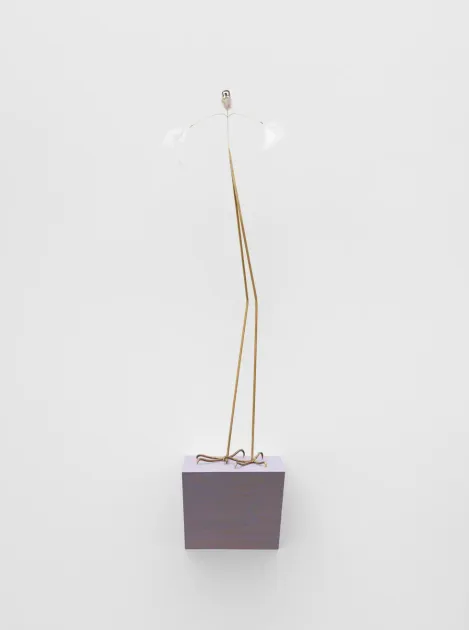 Petrit Halilaj, Petrit Halilaj, Here to Remind You, 2026, PH509 | Artworks | Mennour