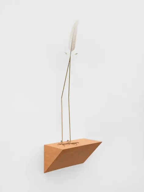 Petrit Halilaj, Petrit Halilaj, Here to Remind You, 2026, PH510 | Artworks | Mennour