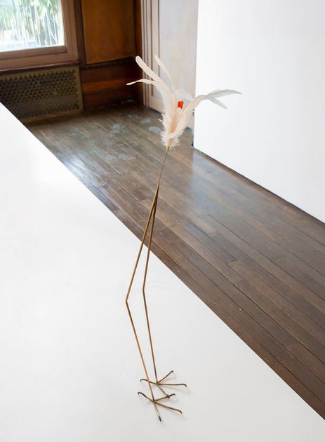 Petrit Halilaj, Here to Remind You (Anser Anser, Ara Macao) | Artworks | Mennour