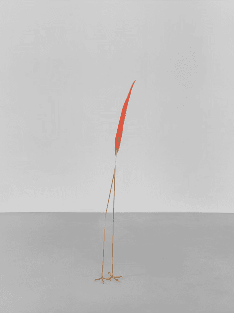 Petrit Halilaj, Here to Remind you (Ara Macao) | Artworks | Mennour