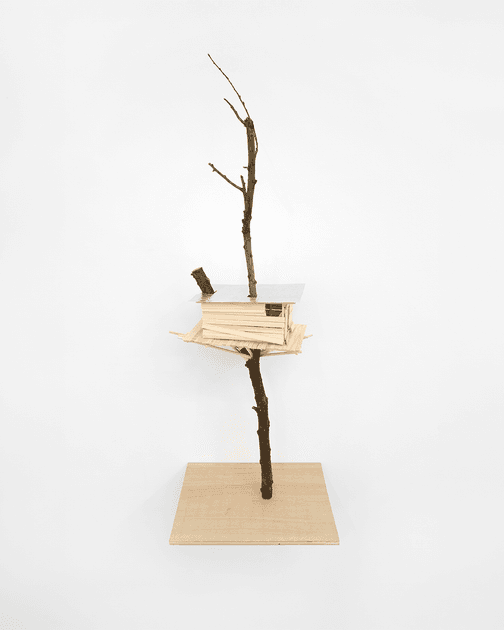 Tadashi Kawamata, Tadashi Kawamata, Bonsai n°34, 2026, TK1439 | Artworks | Mennour
