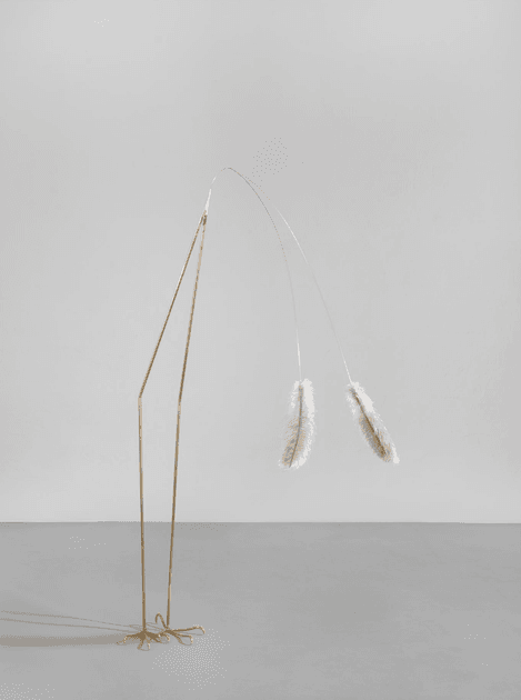 Petrit Halilaj, Here to remind you (Struthio Camelus) | Artworks | Mennour