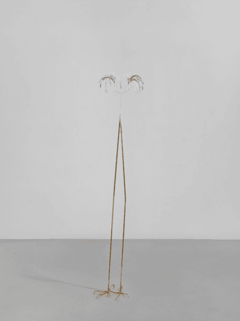 Petrit Halilaj, Here to remind you (Dromaius Novaehollandiae) | Artworks | Mennour