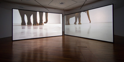 Exhibition view, Dunedin Public Art Gallery - © Mennour