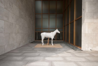 Exhibition view, Barnes Foundation, Philadelphia - © Mennour