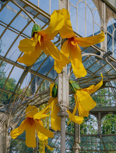 With Alvaro Urbano, 27th of March 2012 (Forsythias) - © Mennour