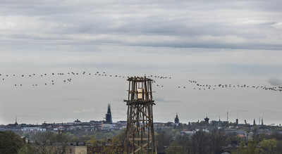 Exhibition view, Helsinki Biennial - © Mennour