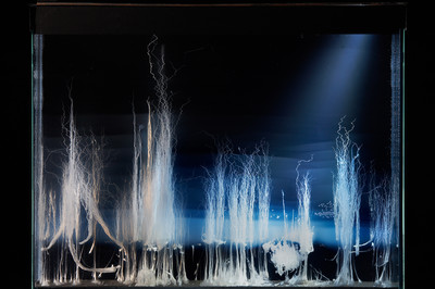 Hicham Berrada
View of the exhibition “Climats artificiels”, Espace Fondation EDF, Paris, 2015 - © &copy; Hicham Berrada
Photo. Laurent Lecat
Courtesy the artist and kamel mennour, Paris/London, Mennour
