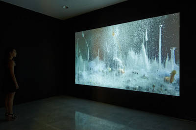 Hicham Berrada, vue de l’exposition, Musée régional d'art contemporain, Sérignan, 2015. - © Cr&eacute;dit : Jean-Christophe Lett., Mennour